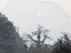 -明仕田园