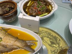 -三强鸽子(中原路店)