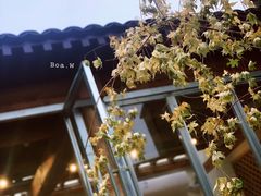 -VOYAGE COFFEE(杨梅竹店)