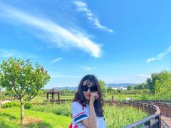 -羊亭河湿地公园