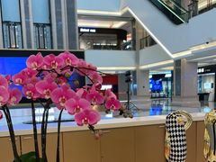 -红星美凯龙(浦江店)