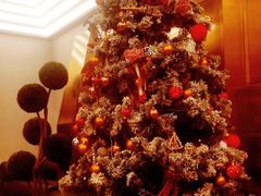 -Hi City·城市之巅