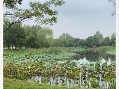 -东郊湿地公园