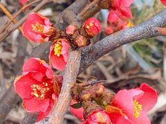 -西北湖绿化广场