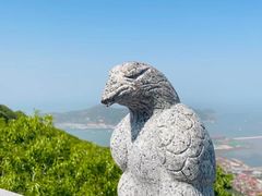 -海上云台山景区
