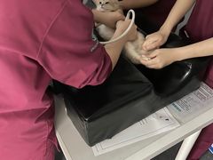 -伟伟宠物医院·CT影像中心·瑞派犬猫综合性门诊(汉口总院)
