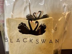 -BLACKSWAN黑天鹅(环球店)