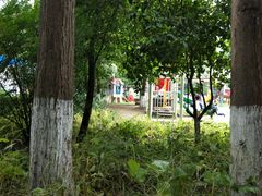 -南京市鼓楼幼儿园(盛美分园)