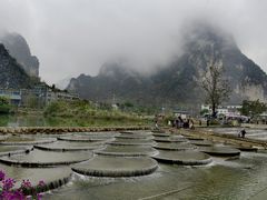 -明仕田园