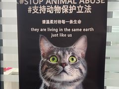 -瑞派雷欧宠物医院·中兽医·眼科·急重症转诊中心(黄台店)