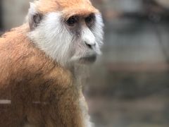 -昆明动物园