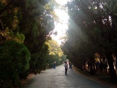 android_upload_pic-八大关景区
