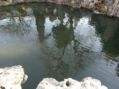 -后海公园