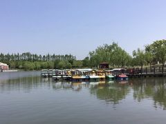 -上海长兴岛郊野公园