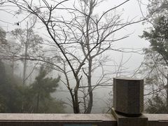 -板樟山森林公园