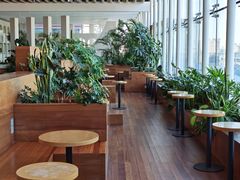 大堂-Seesaw Coffee(朝阳大悦城店)