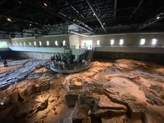 -自贡恐龙博物馆