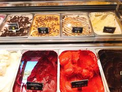 -Patagonia Chocolates(皇后镇店)