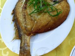 东海黄花鱼（香煎）-海鲜街菜馆(海珠南路店)