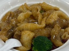 -姚林轩