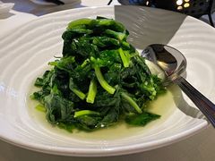 清炒豆苗-夜上海(新天地店)