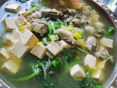 小白菜炖排骨-龙香居海鲜浑锅家常菜·特色驴肉