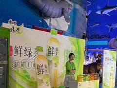 -烟台海昌鲸鲨海洋公园