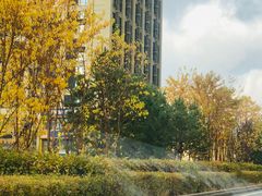 -尚雅铁板料理自助餐厅(乐松店)