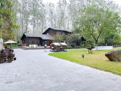 -合肥滨湖国家森林公园