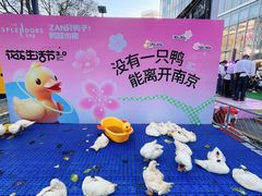 -金茂览秀城