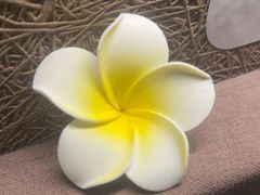 -厘舍SPA(月湖公园店)