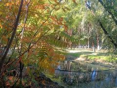 -长白岛森林公园