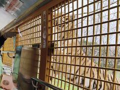 -上海野生动物园