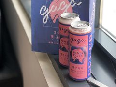 -gaga(深圳南山益田假日广场店)