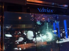 -温莎KTV(国贸店)