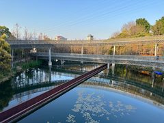 -福道