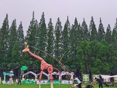 -黄海国家森林公园