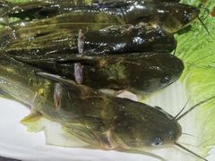 -亮欢寨(凯里总店)