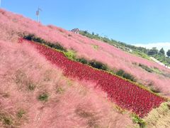 -沂蒙云瀑洞天景区