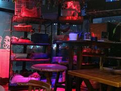 -赢吧Bliss音乐酒吧