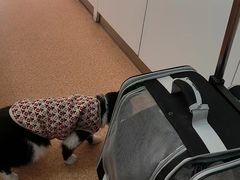 -宠颐生中康贝怡动物医院