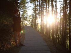 -藏龙百瀑风景区