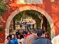 -灵谷景区