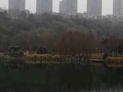 -重庆彩云湖湿地公园