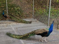 -福建鲤鱼洲酒店