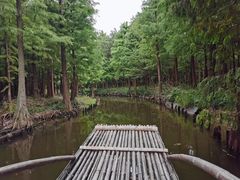 -尚湖风景区