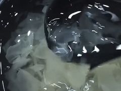 -吃不亏特色包子(三峡广场店)