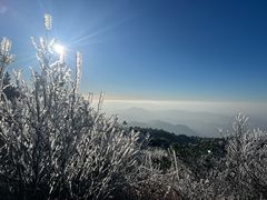 -安吉龙王山风景区