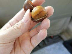 -高记福桂桂花糖炒栗(鼓楼店)