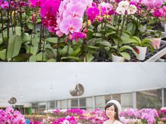 -万顷园艺世界